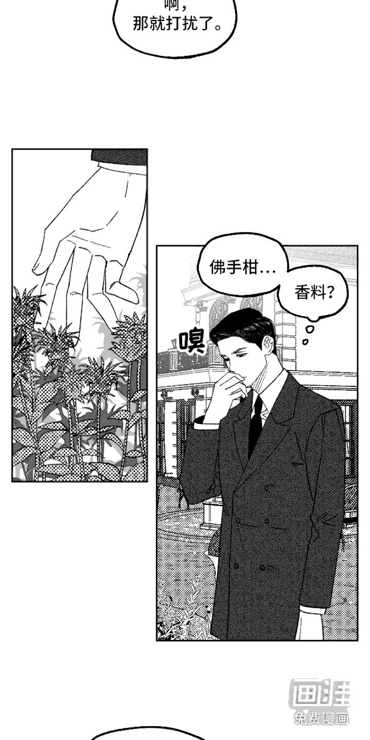 第13章：一把掐住
