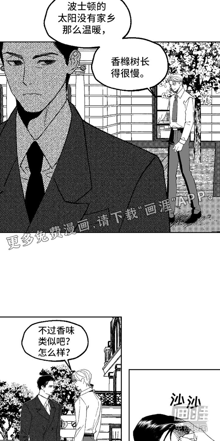 第13章：一把掐住