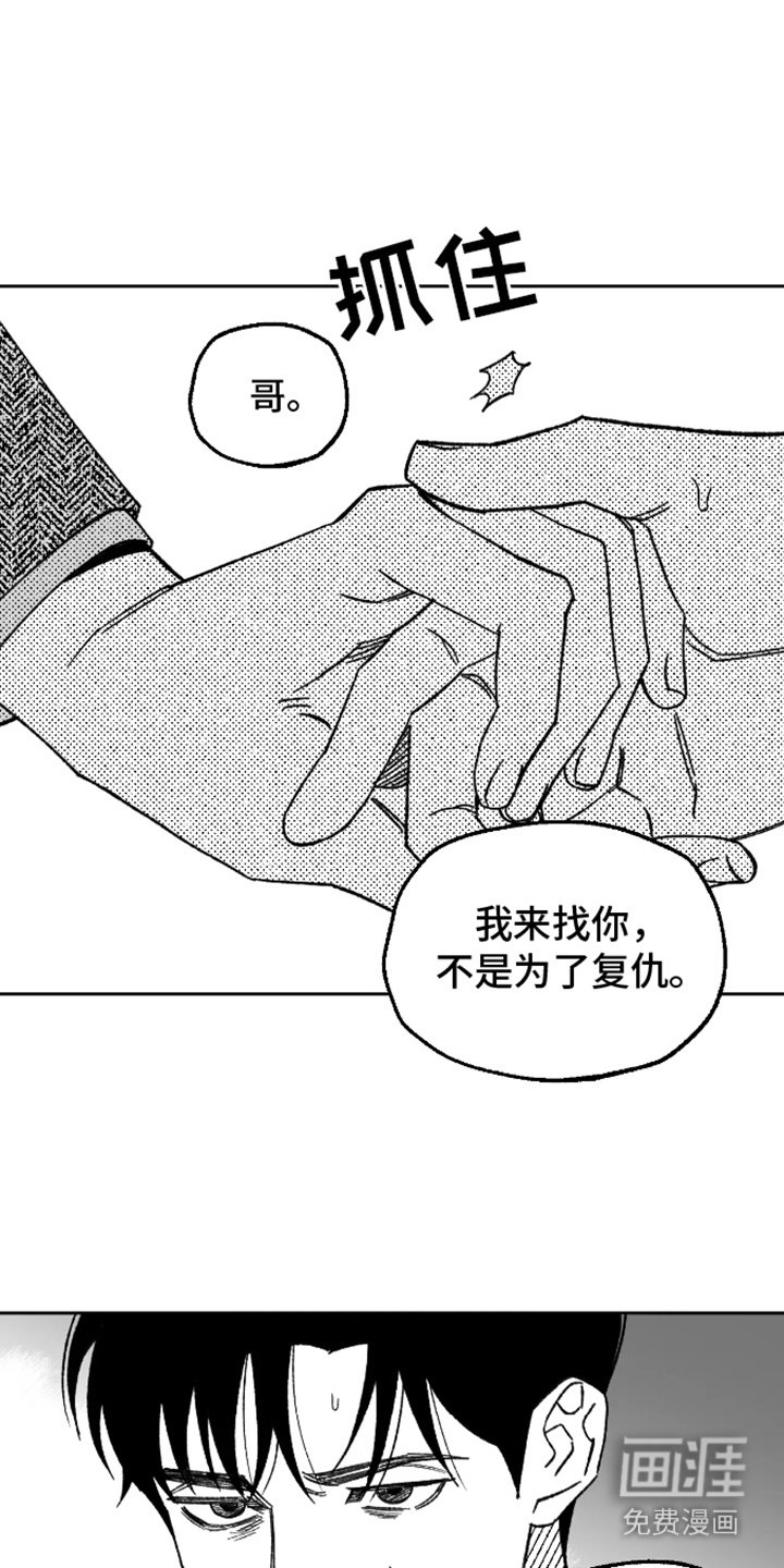 第18章：一见钟情