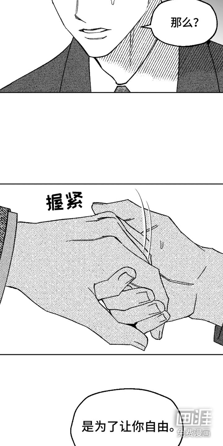 第18章：一见钟情
