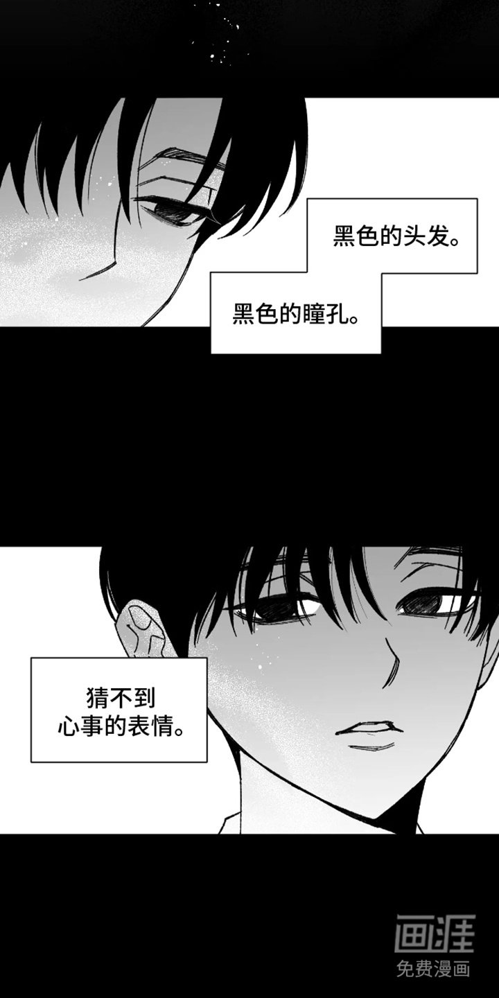 第18章：一见钟情