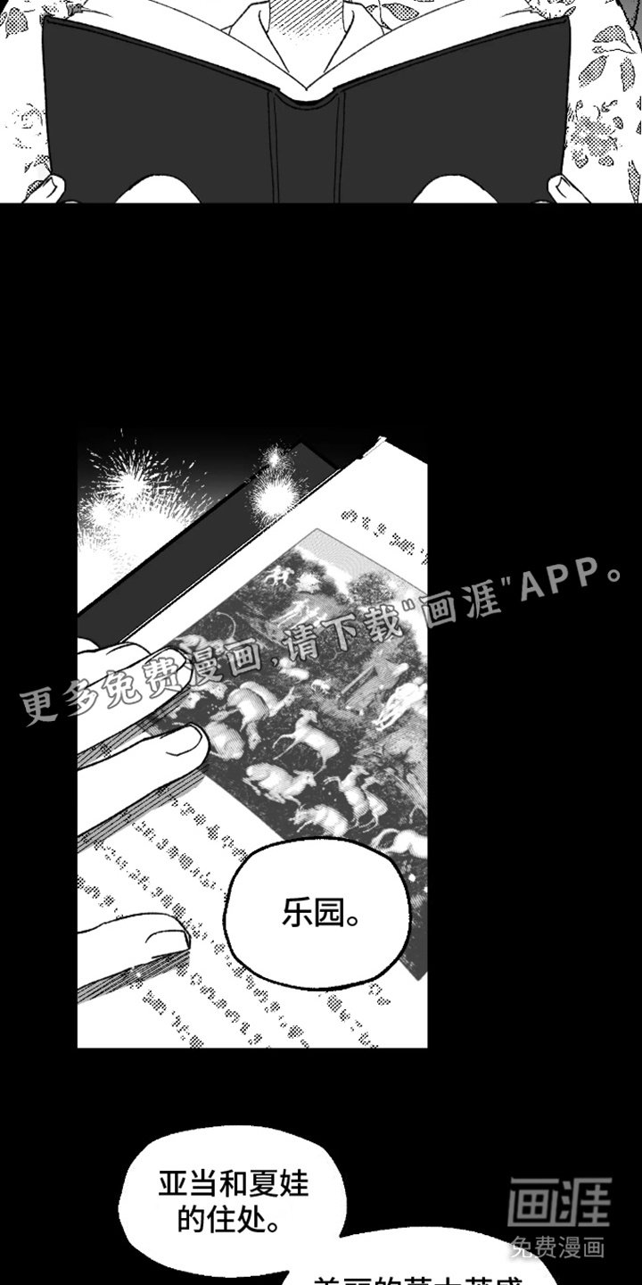 第19章：好奇