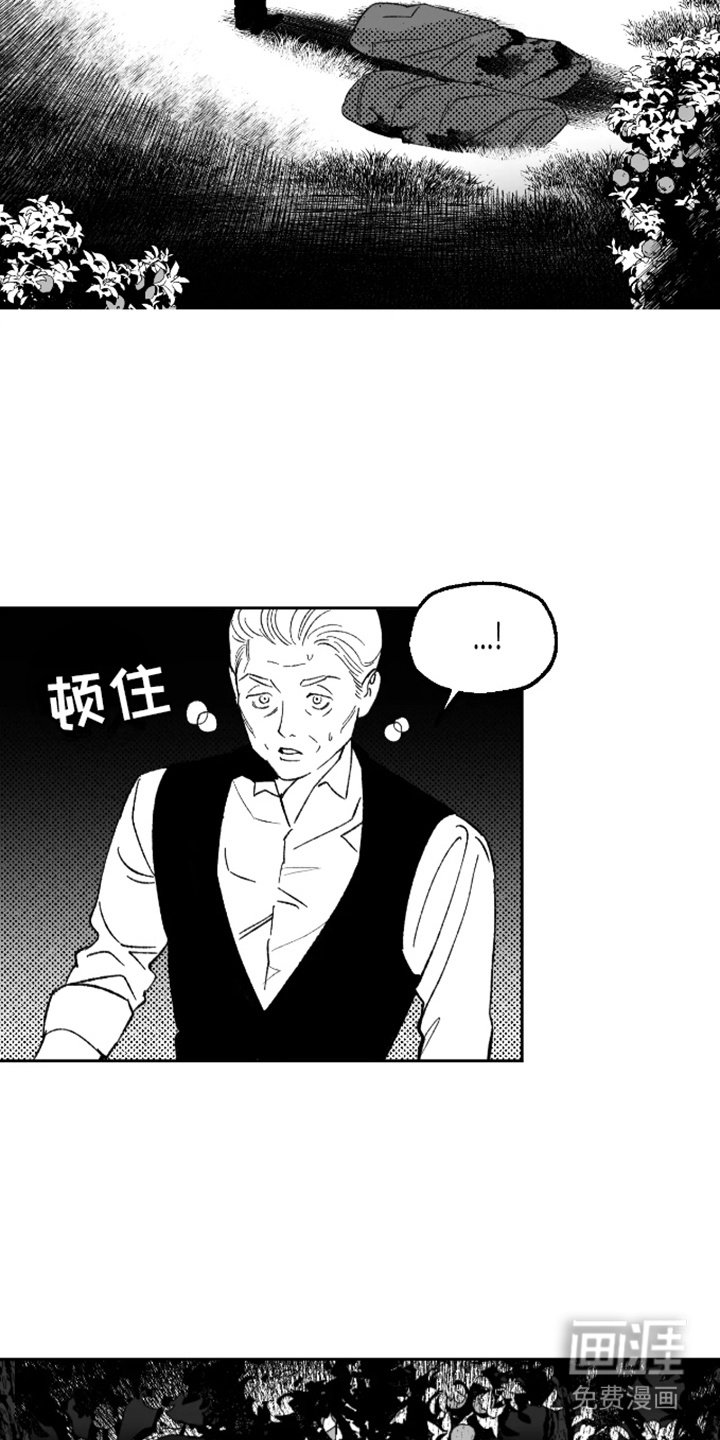 第21章：气味