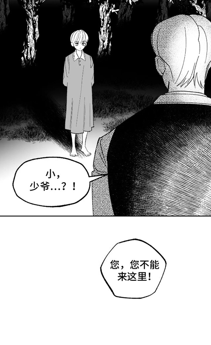 第21章：气味