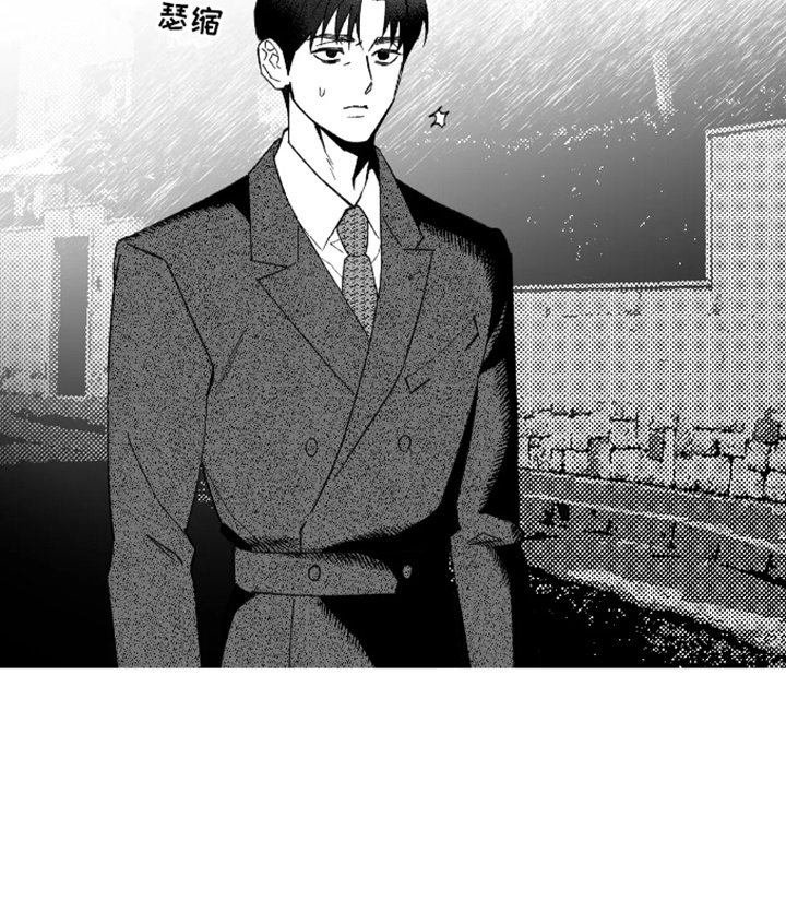 第22章：代替