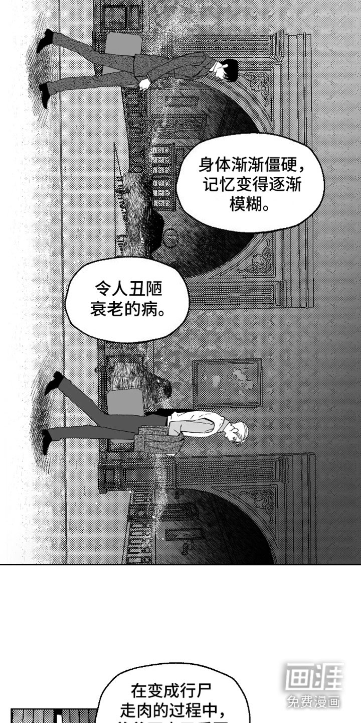 第23章：相似长相