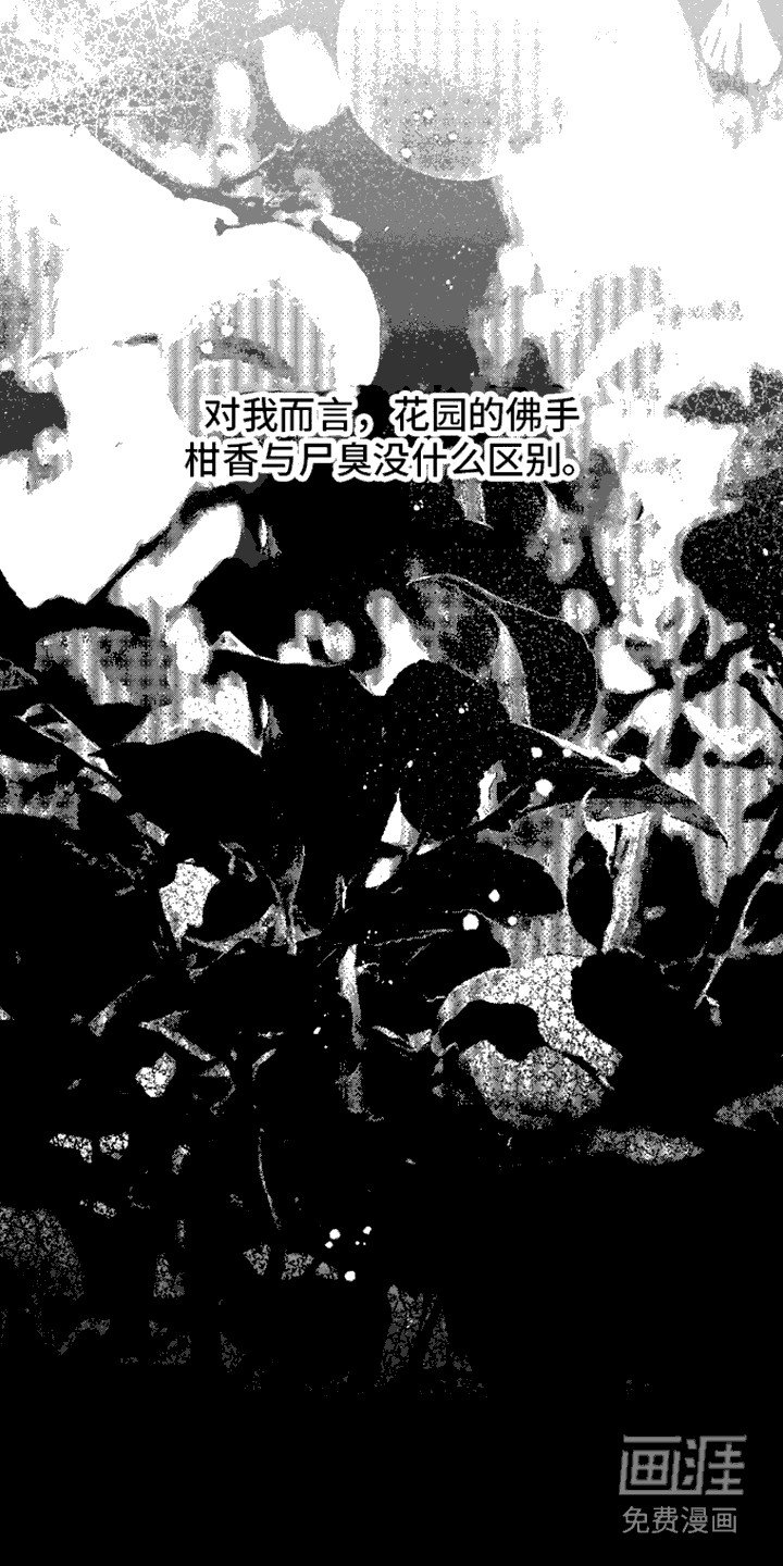 第8章：共犯