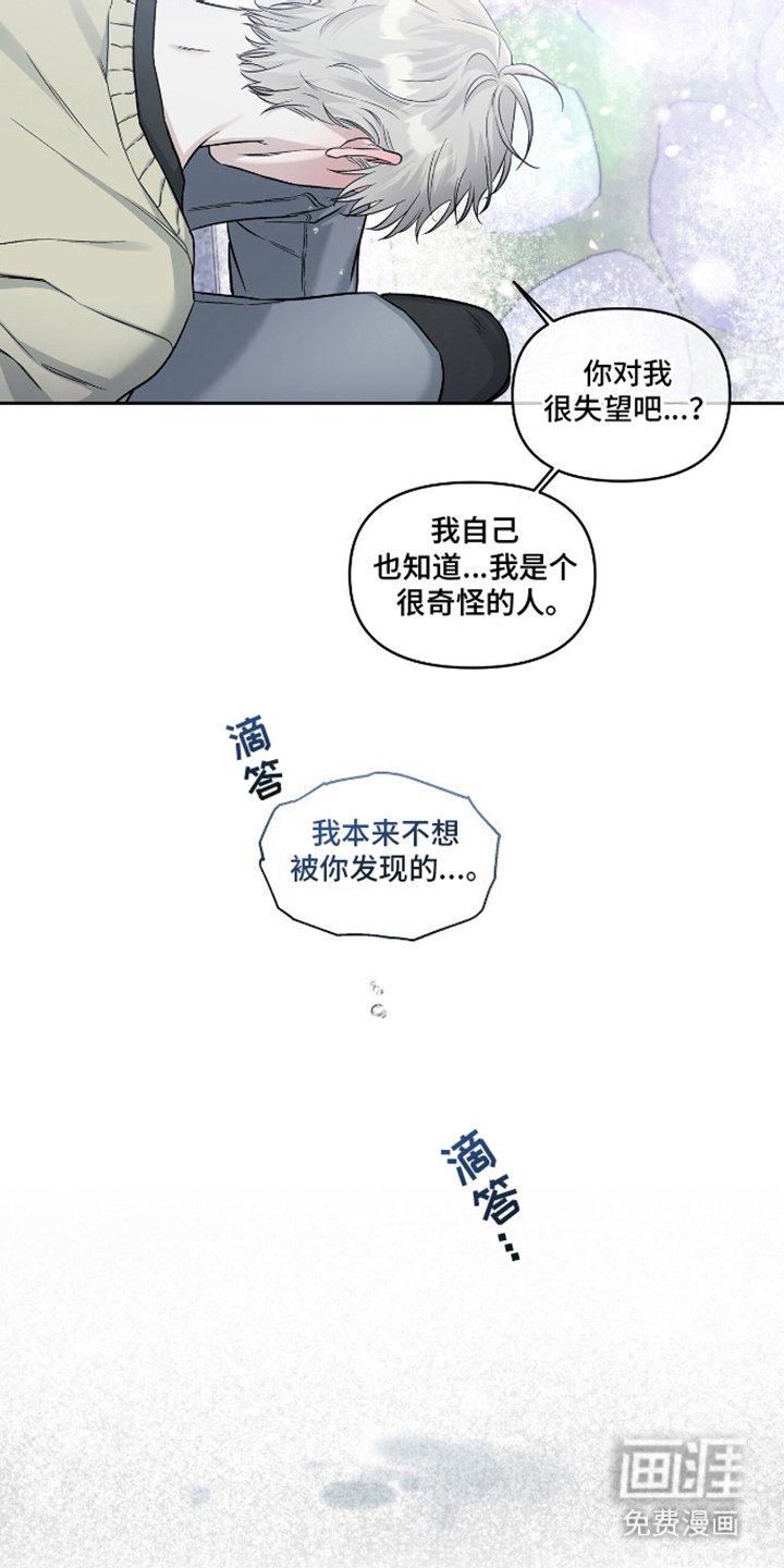 第19章：回家