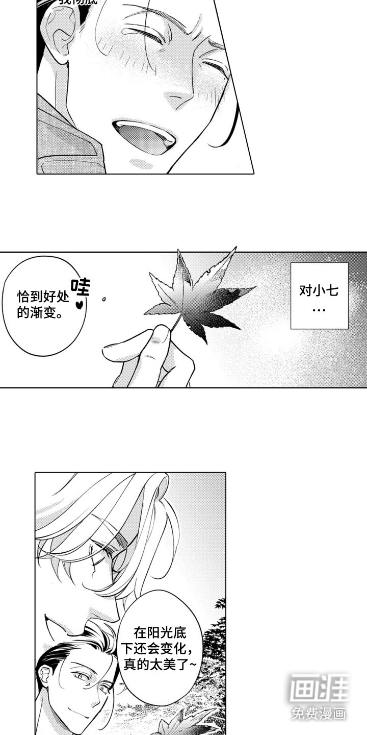 第17章：答复