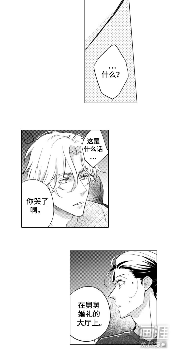 第17章：答复