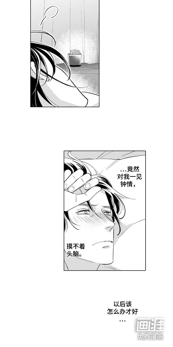 第6章：一见钟情