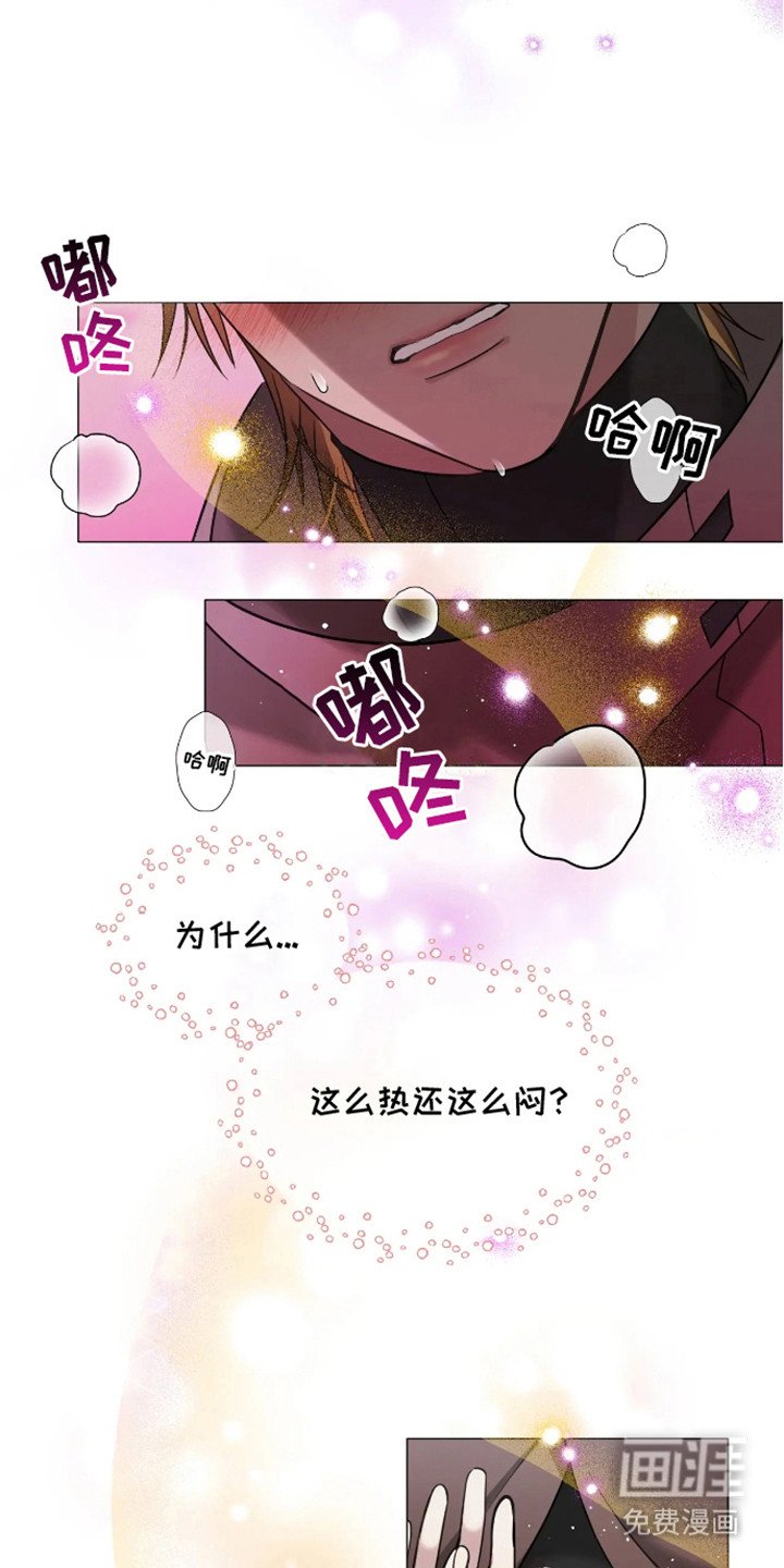 第2章：信息素