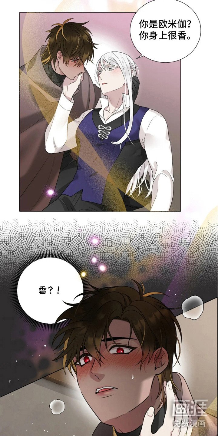 第2章：信息素