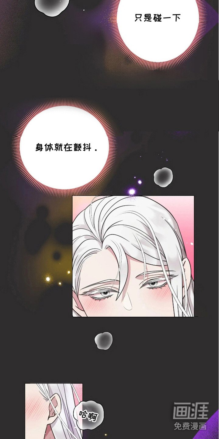 第2章：信息素