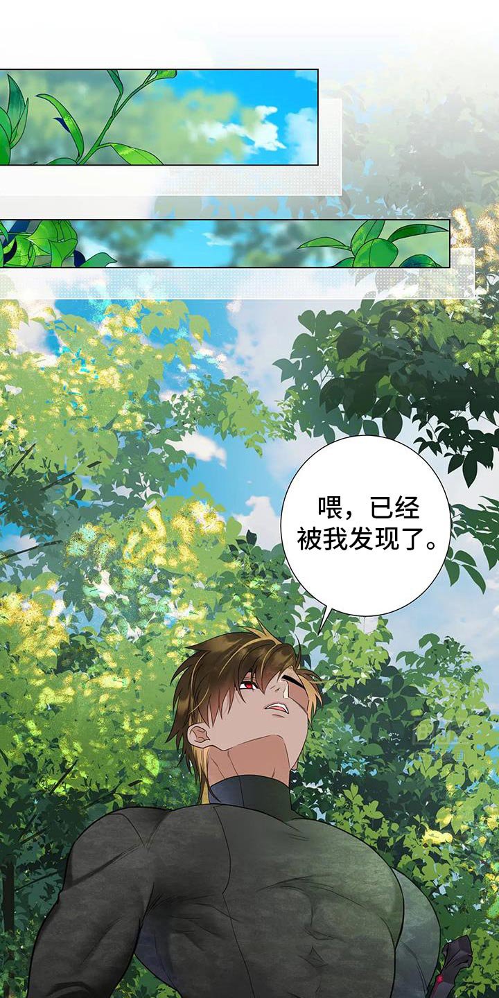 第20章：已经被我发现了