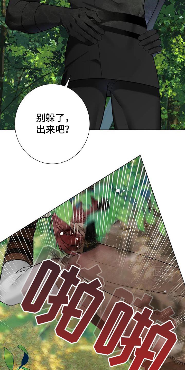 第20章：已经被我发现了