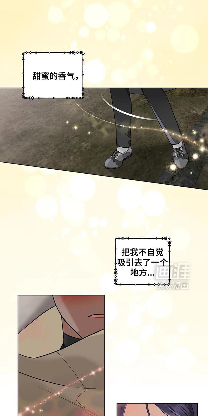第37章：喜欢魔法