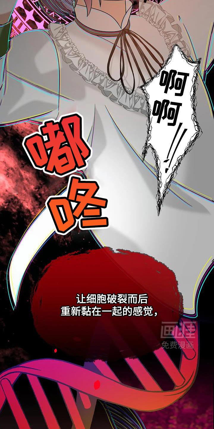 第40章：一定要成功！