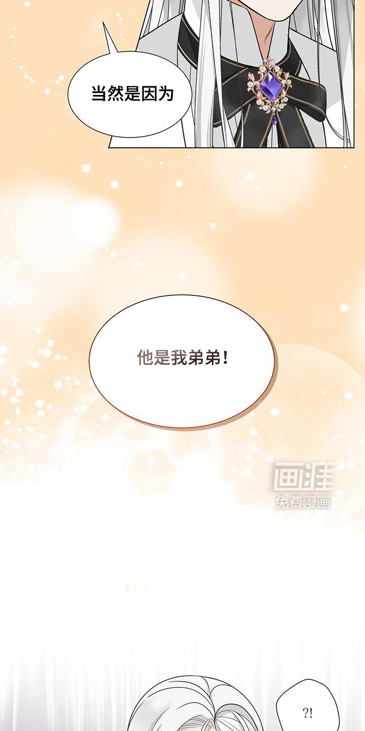 第46章：他是我弟弟！