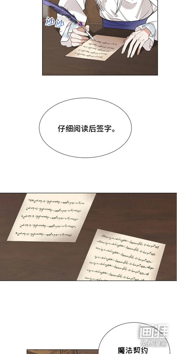 第6章：研究