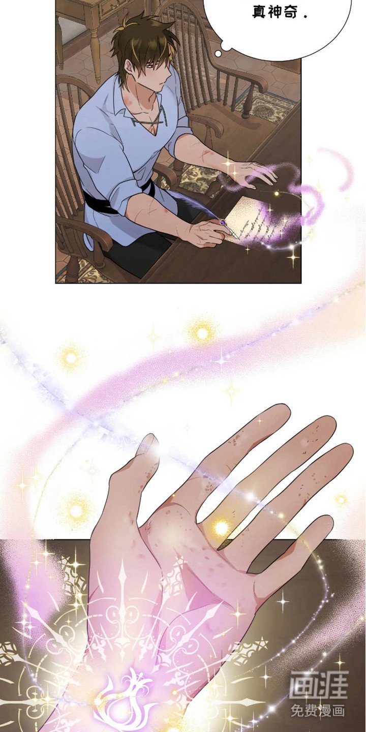 第6章：研究