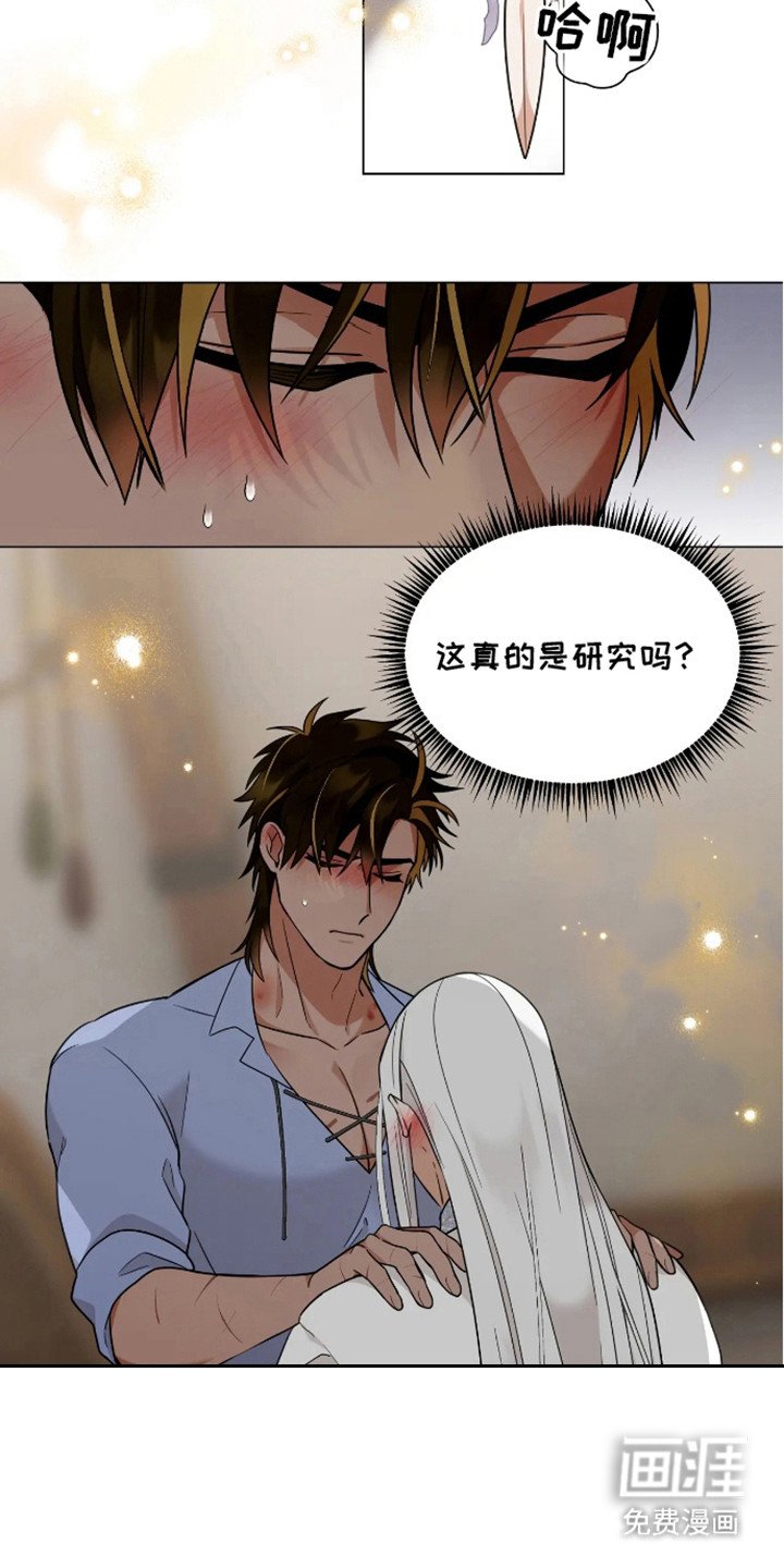 第6章：研究