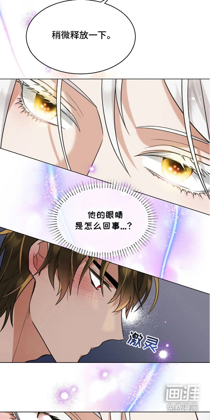 第6章：研究