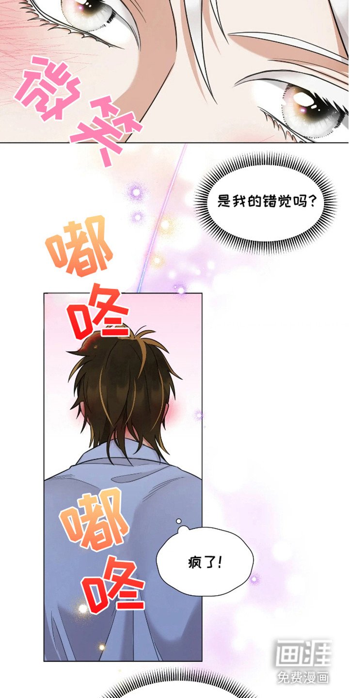 第6章：研究
