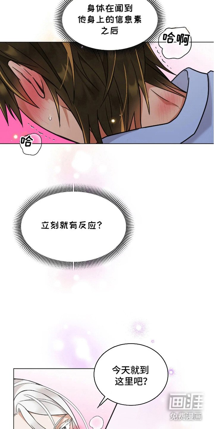 第6章：研究