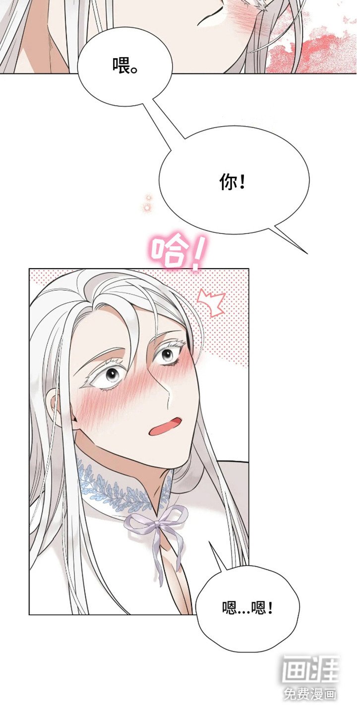 第6章：研究