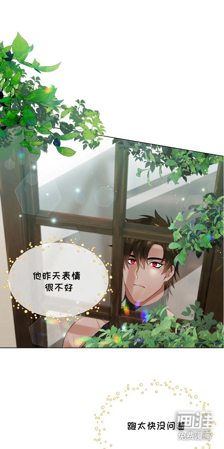 第8章：不敢直视