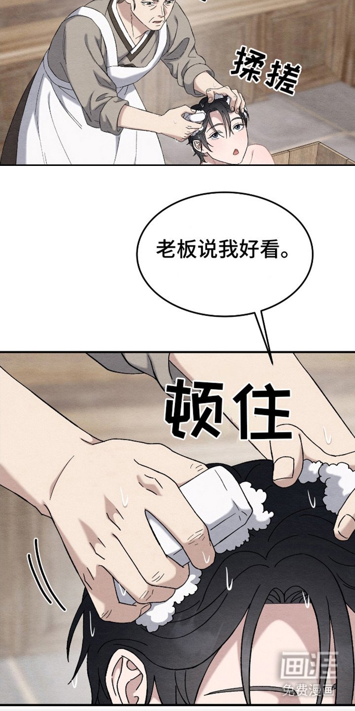 第19章： 被子