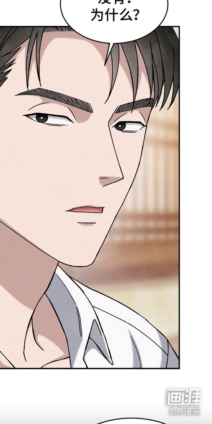 第19章： 被子