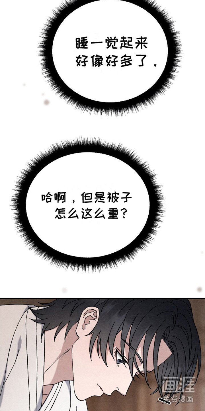 第19章： 被子