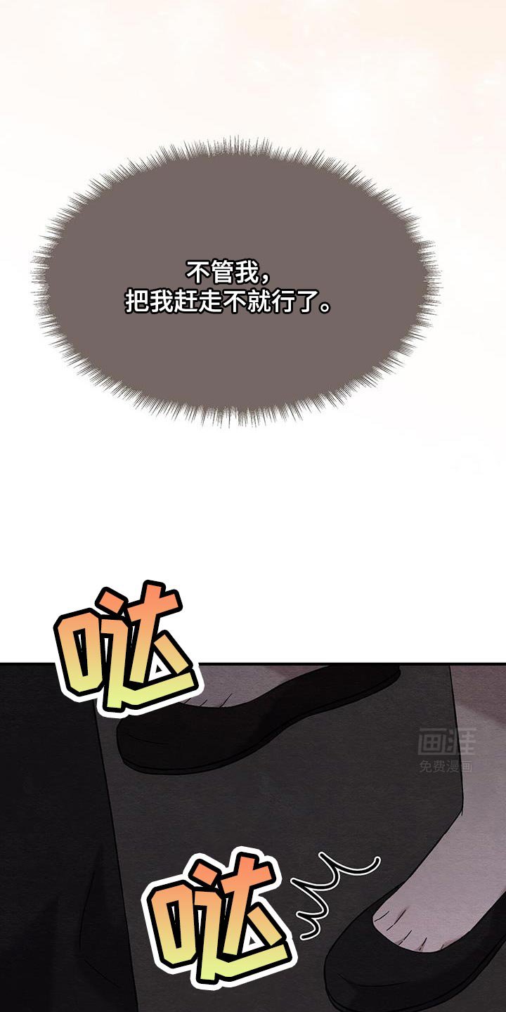 第21章：苹果