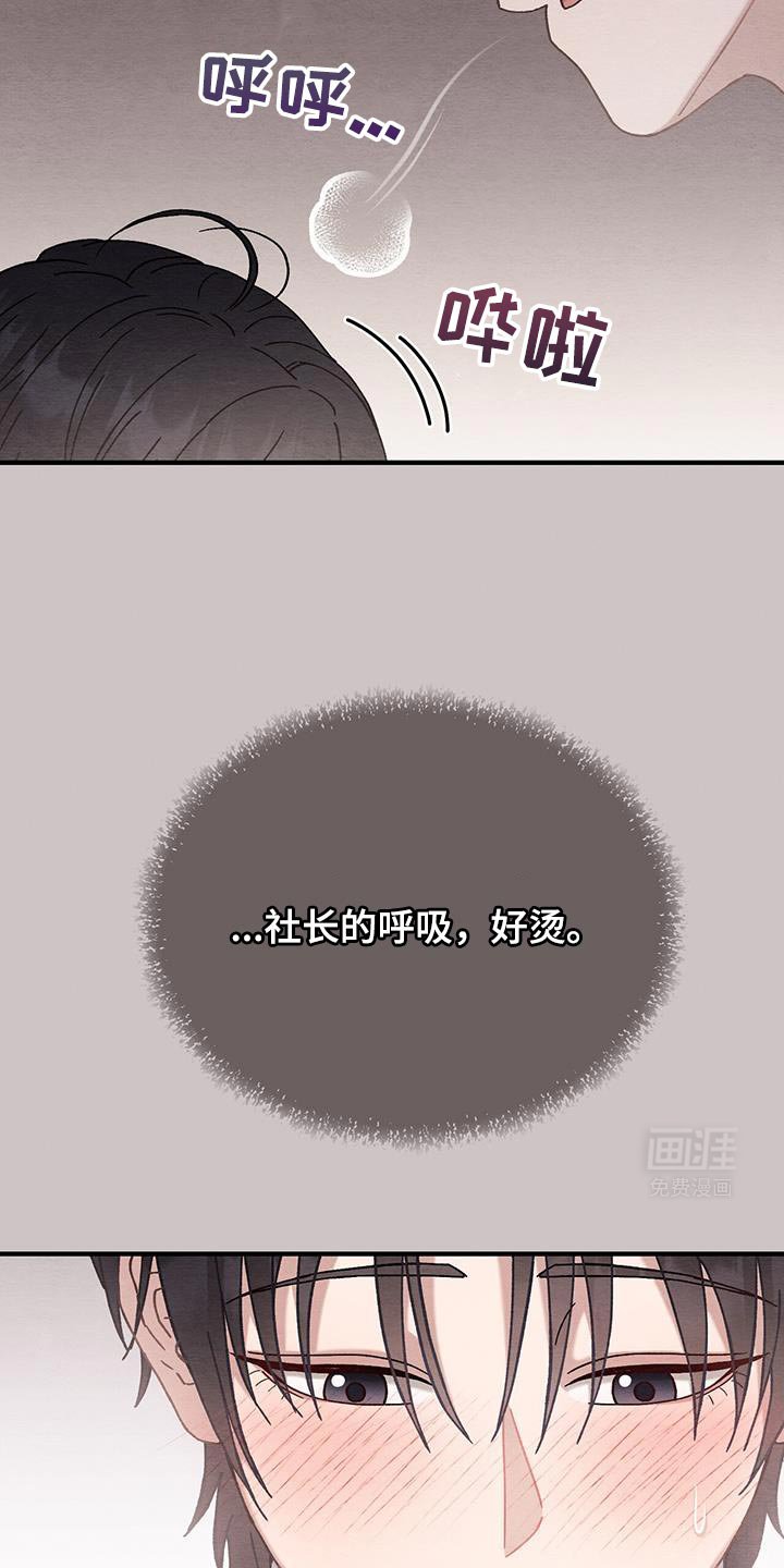 第21章：苹果