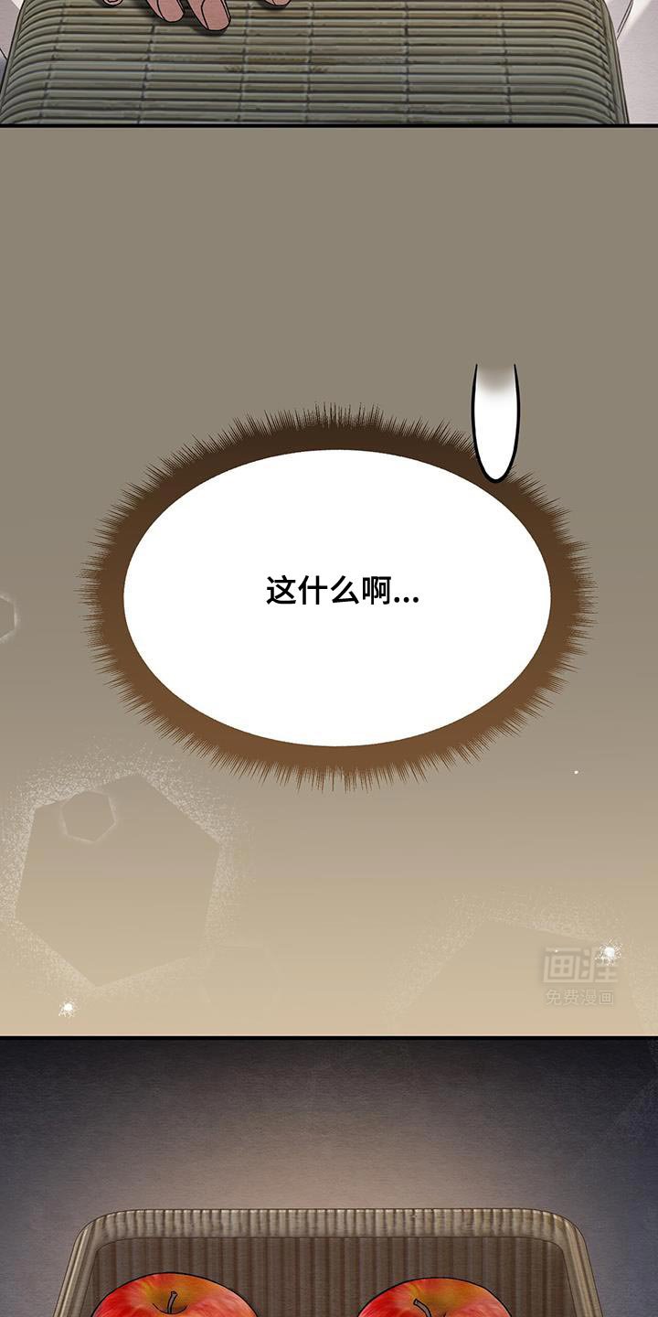 第21章：苹果