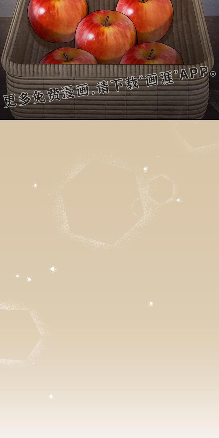 第21章：苹果
