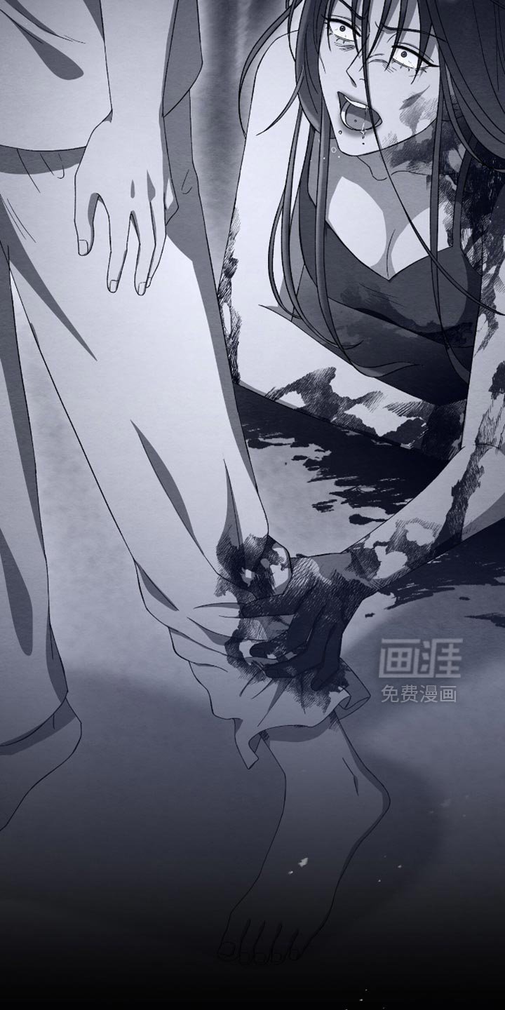 第60章：为什么放过他