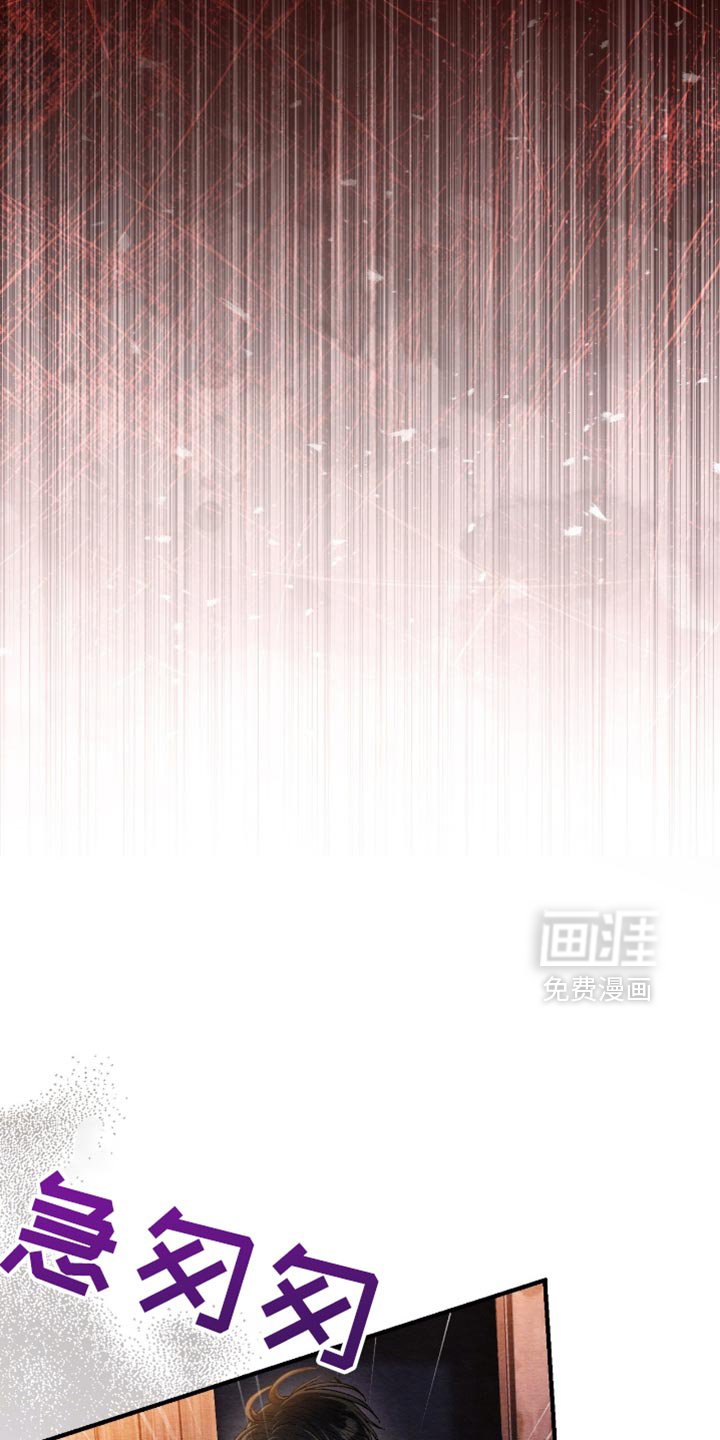 第61章：为什么那样做