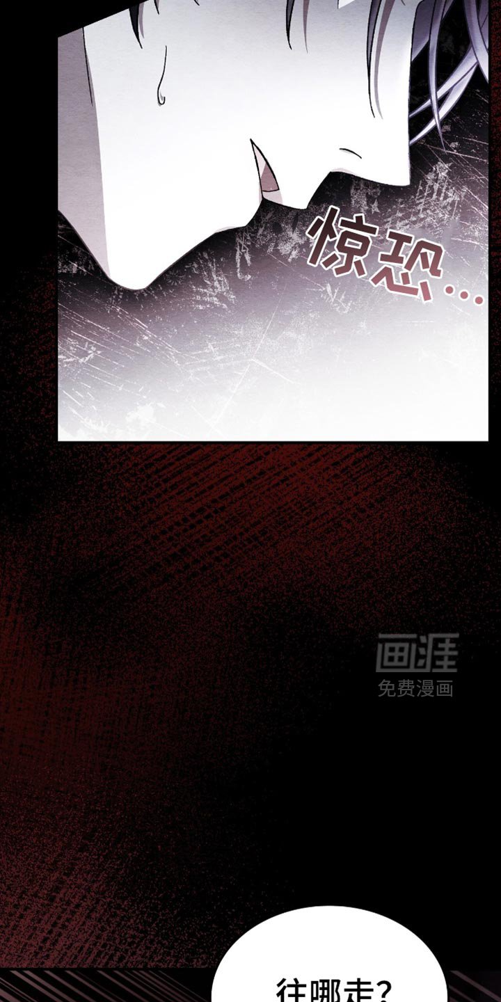 第62章：逃跑
