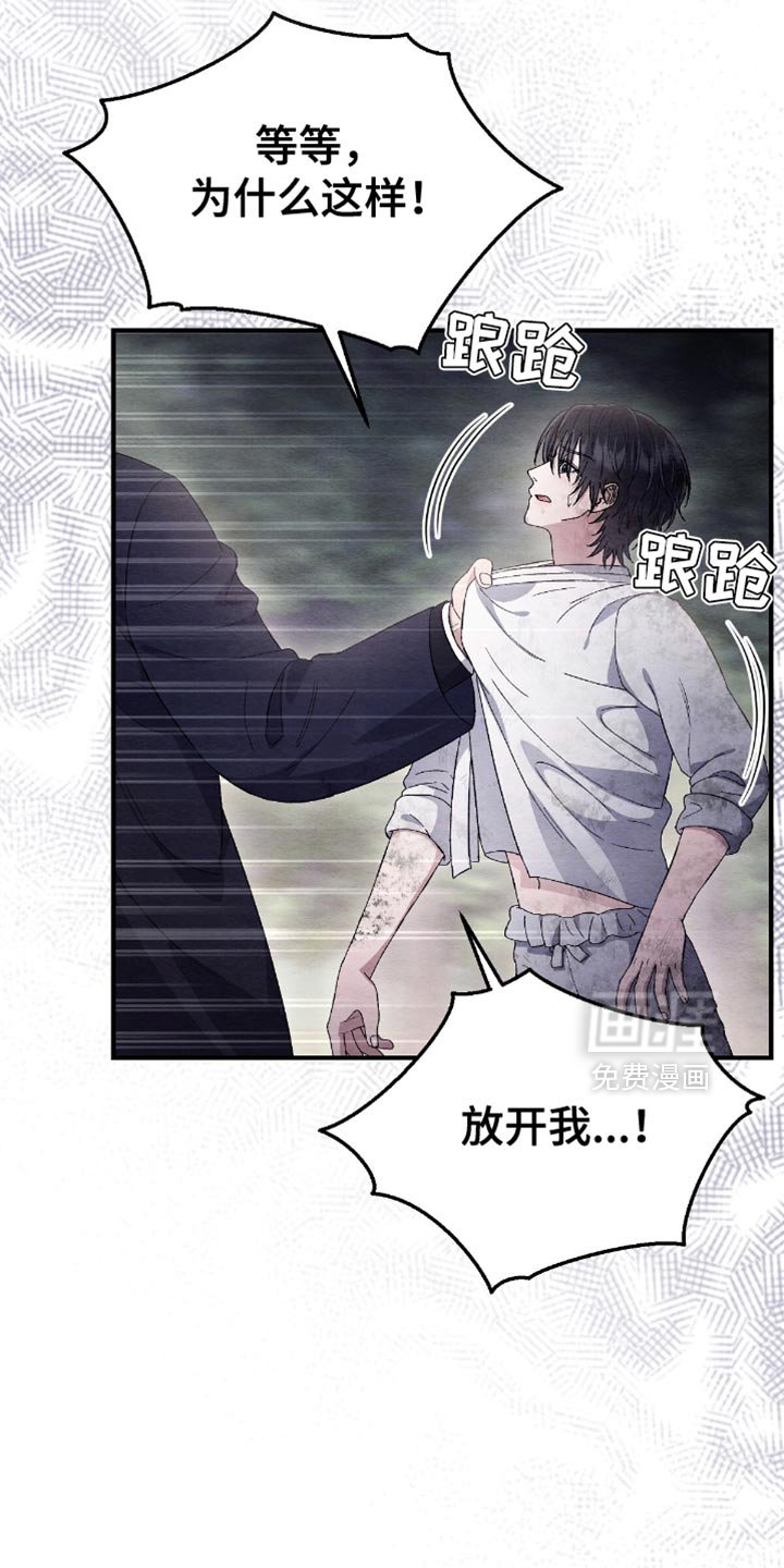 第67章：我没有那样做！