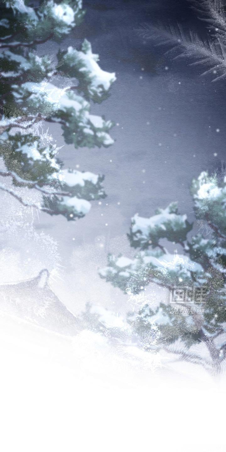 第73章：下雪了
