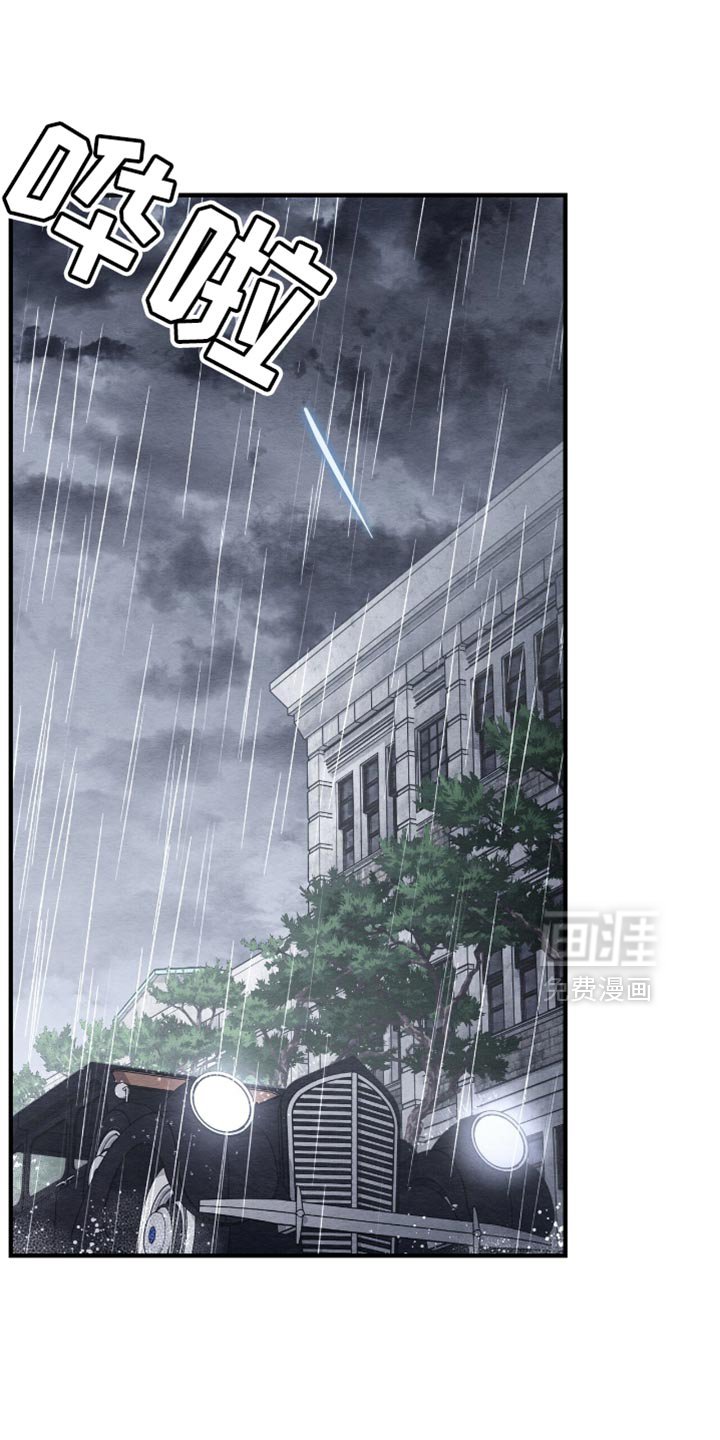 第87章：全部都是我做的