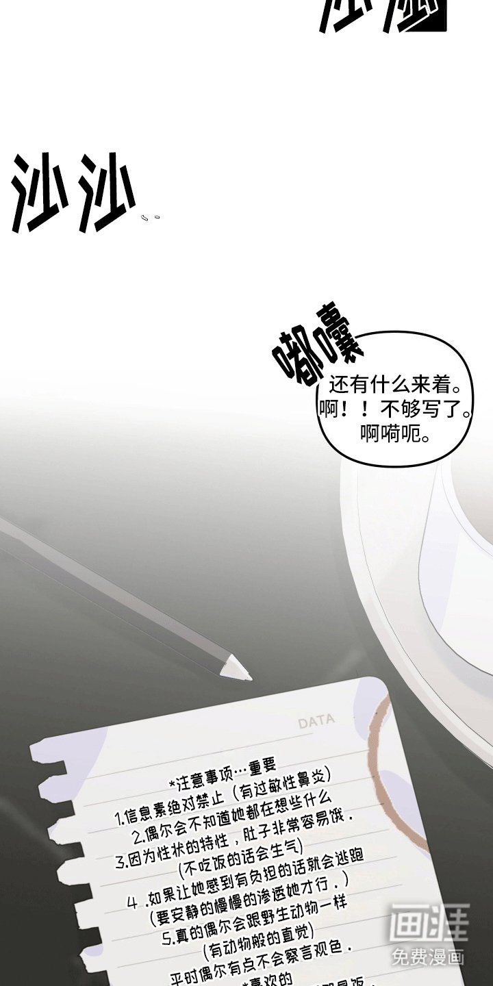 第11章：注意事项