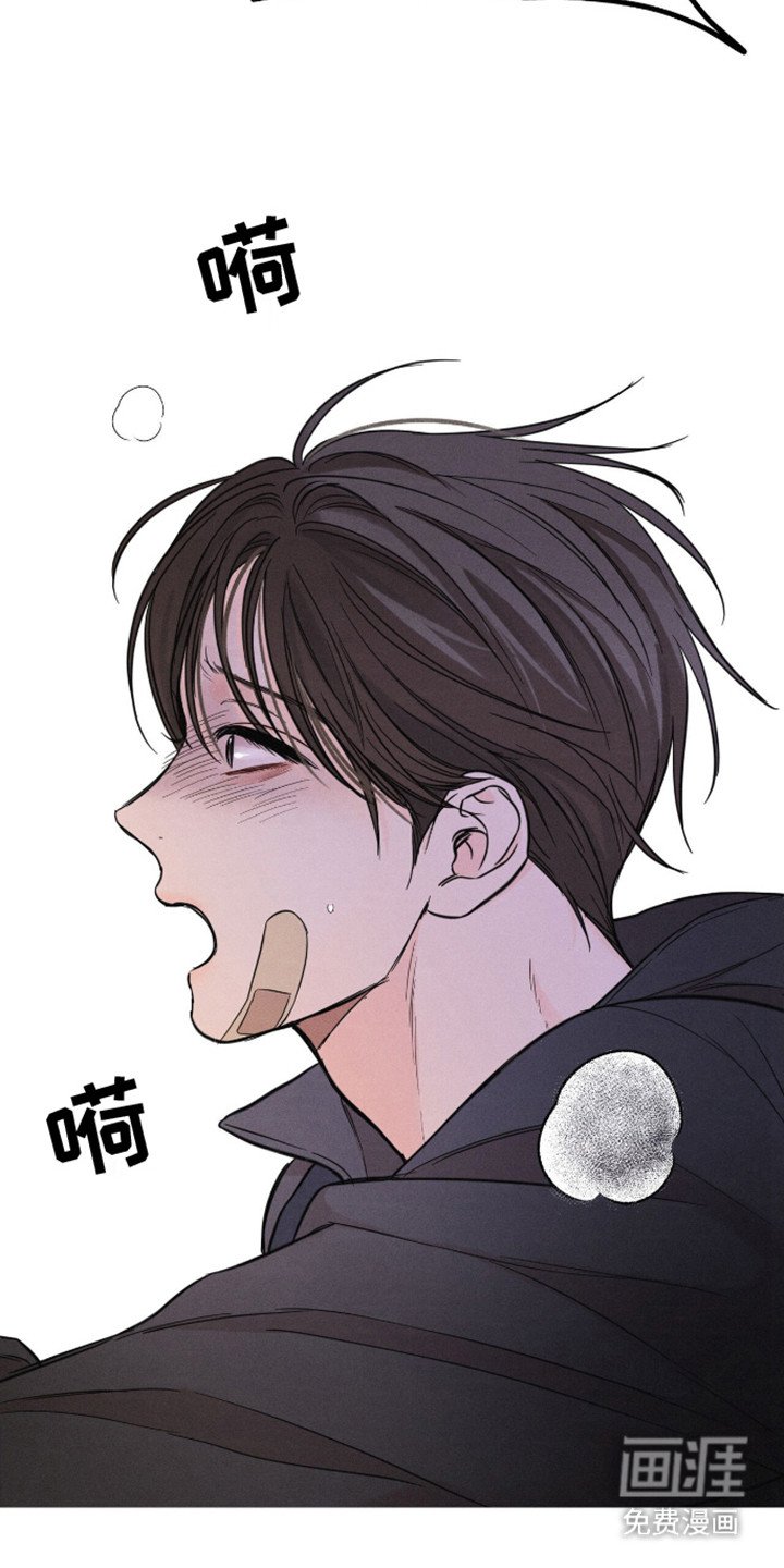 第12章：停车向导