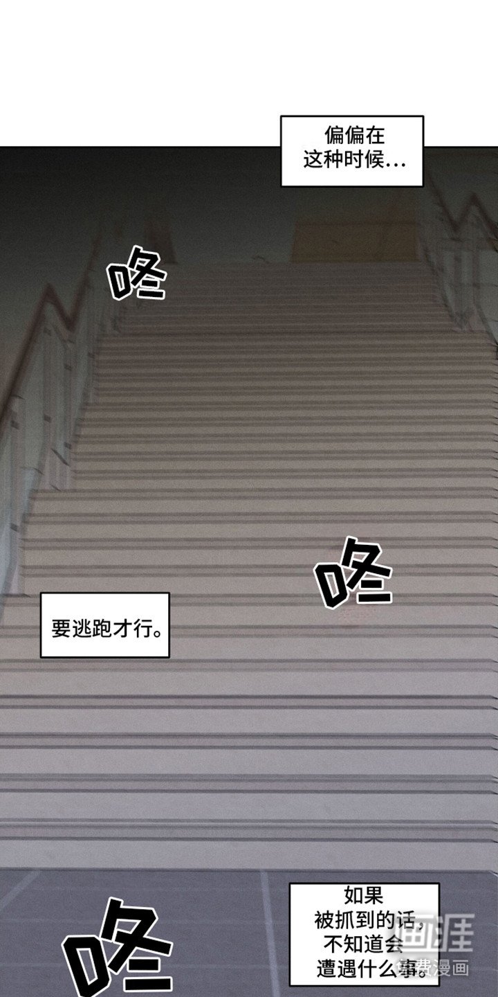 第12章：停车向导