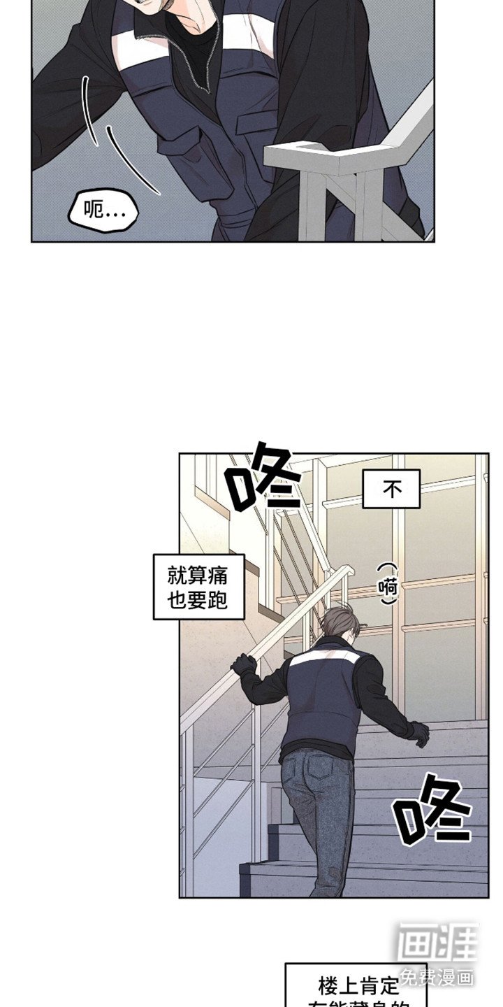 第12章：停车向导