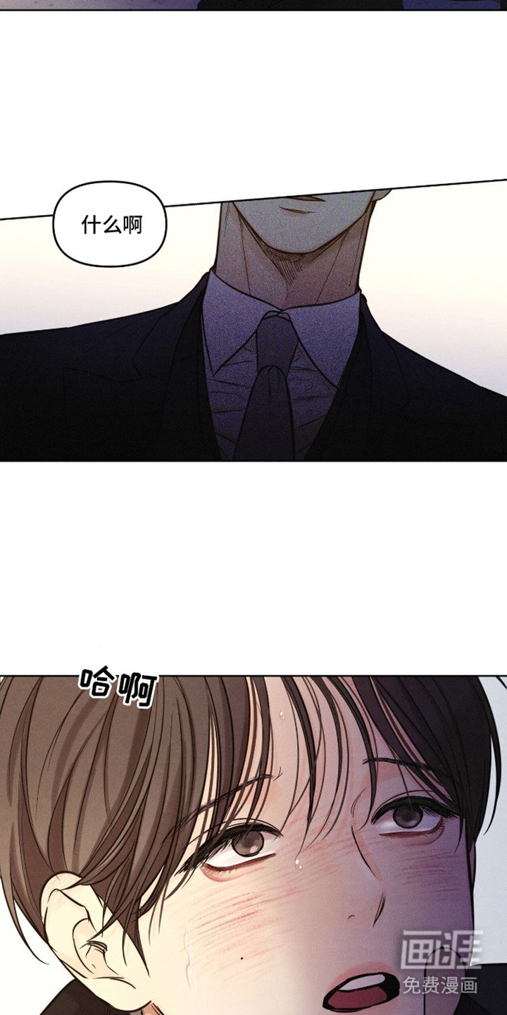 第12章：停车向导