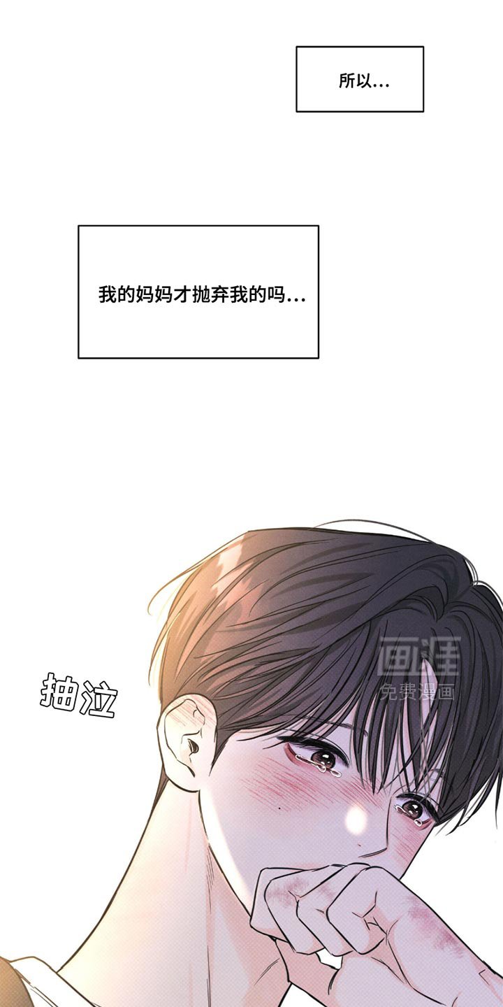 第41章：再也不会和你见面了